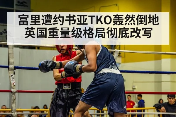 boxer in ring