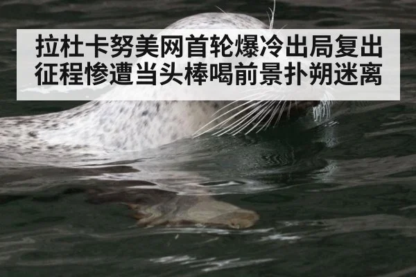 拉杜卡努美网首轮爆冷出局复出征程惨遭当头棒喝前景扑朔迷离