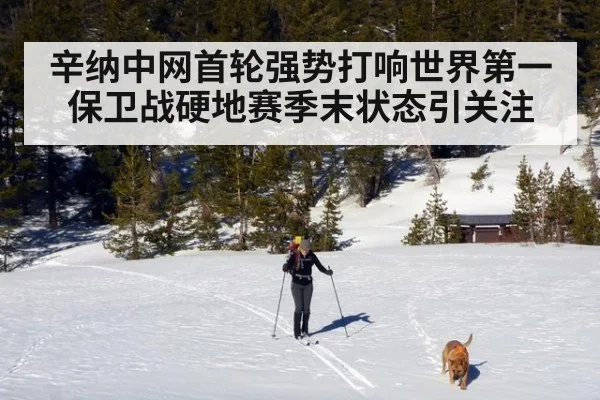 辛纳中网首轮强势打响世界第一保卫战硬地赛季末状态引关注